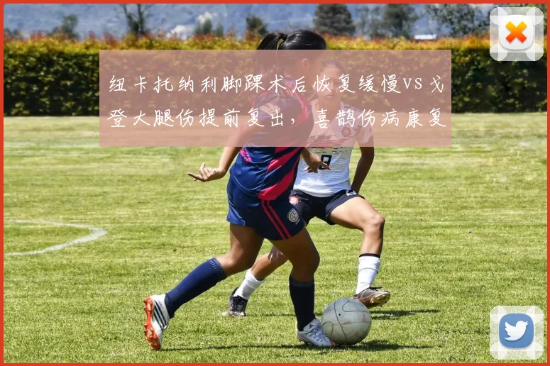 纽卡托纳利脚踝术后恢复缓慢vs戈登大腿伤提前复出,喜鹊伤病康复效率参差不齐引质疑